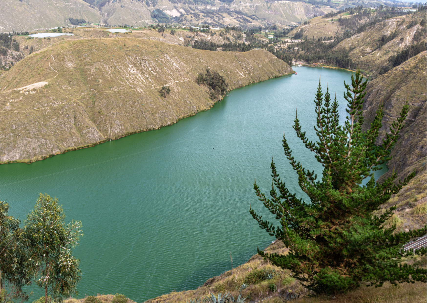 Laguna de Limpiopungo in Nationaal Park Cotopaxi, met weerspiegeling van de vulkaan en omliggende Andeslandschappen.