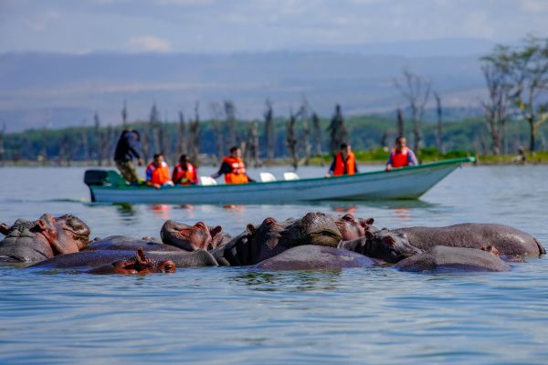 Boot op Lake Naivasha met nijlpaarden in het water op de achtergrond