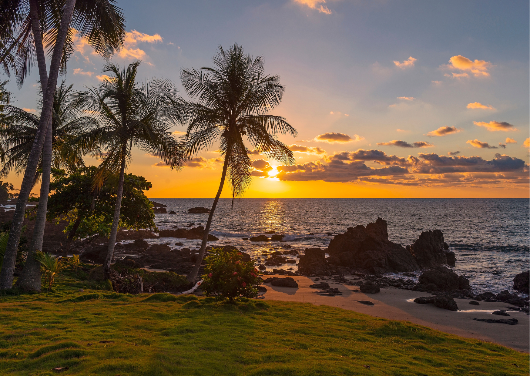 Palmbomen langs het strand van Tamarindo in Guanacaste.