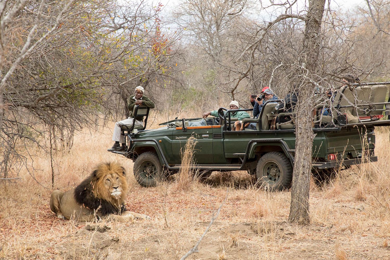 “Safari in privé wildpark met ranger op zoek naar de Big Five en Little Five,