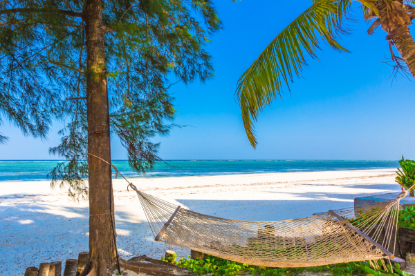 Hangmat op Diani Beach tussen palmbomen met uitzicht op de turquoise Indische Oceaa
