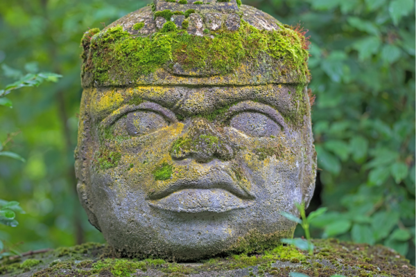 Villahermosa - “Olmeeks stenen hoofd in Parque Museo La Venta.”