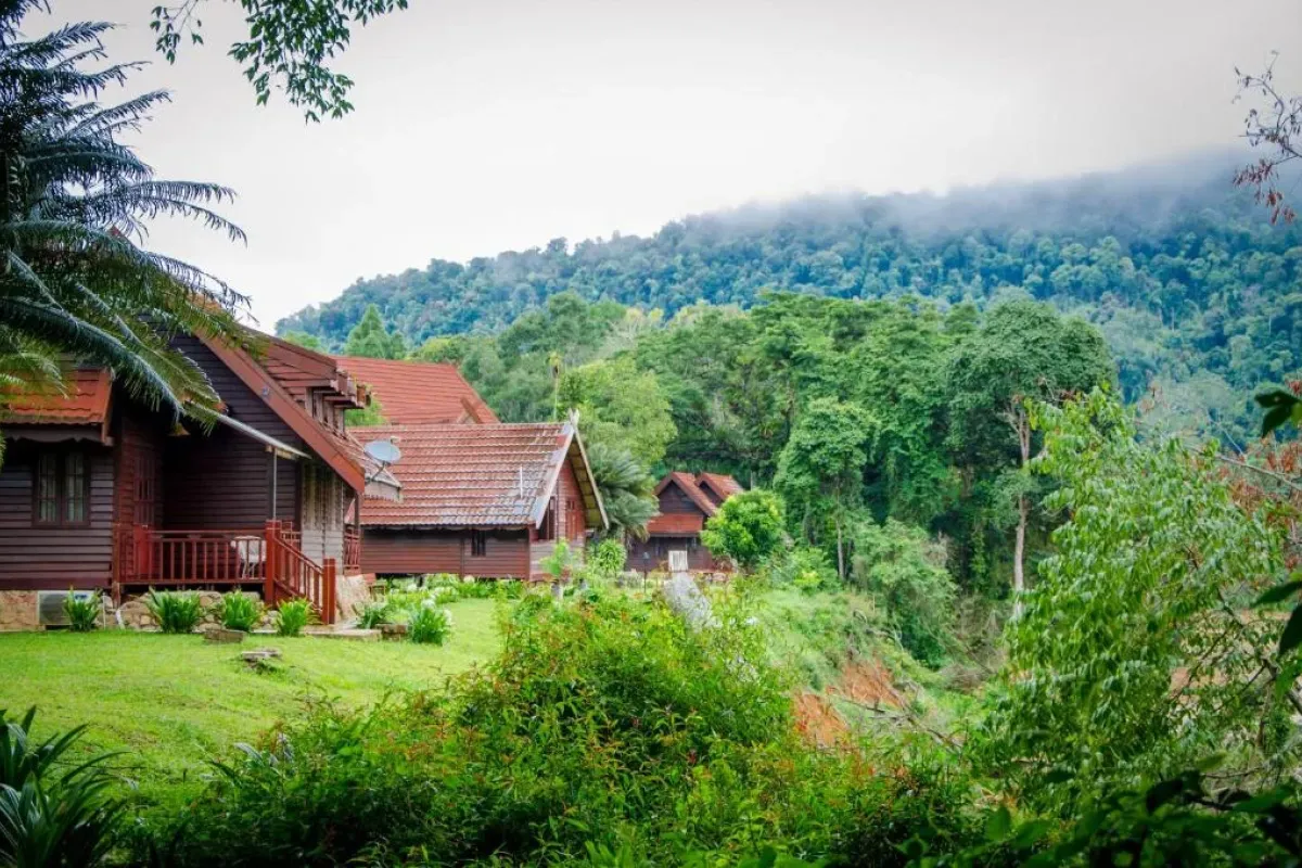 Houten chalets van Mutiara Taman Negara tussen het groene regenwoud