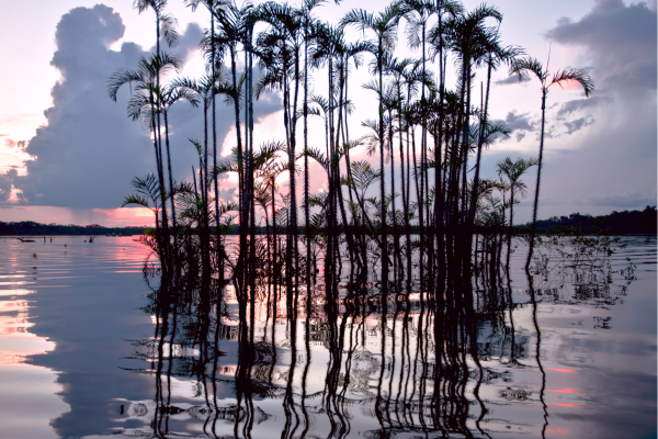 Boottocht over Laguna Grande in het Amazonegebied, omringd door ongerept regenwoud.