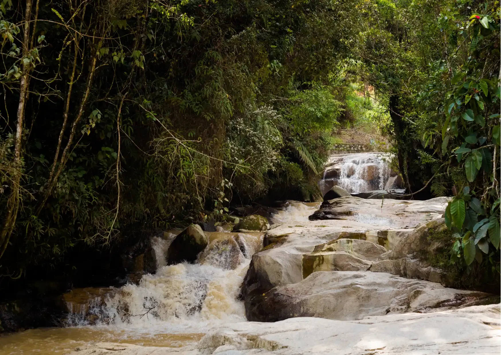 Robinson Falls omgeven door het groene berglandschap van de Cameron Highlands