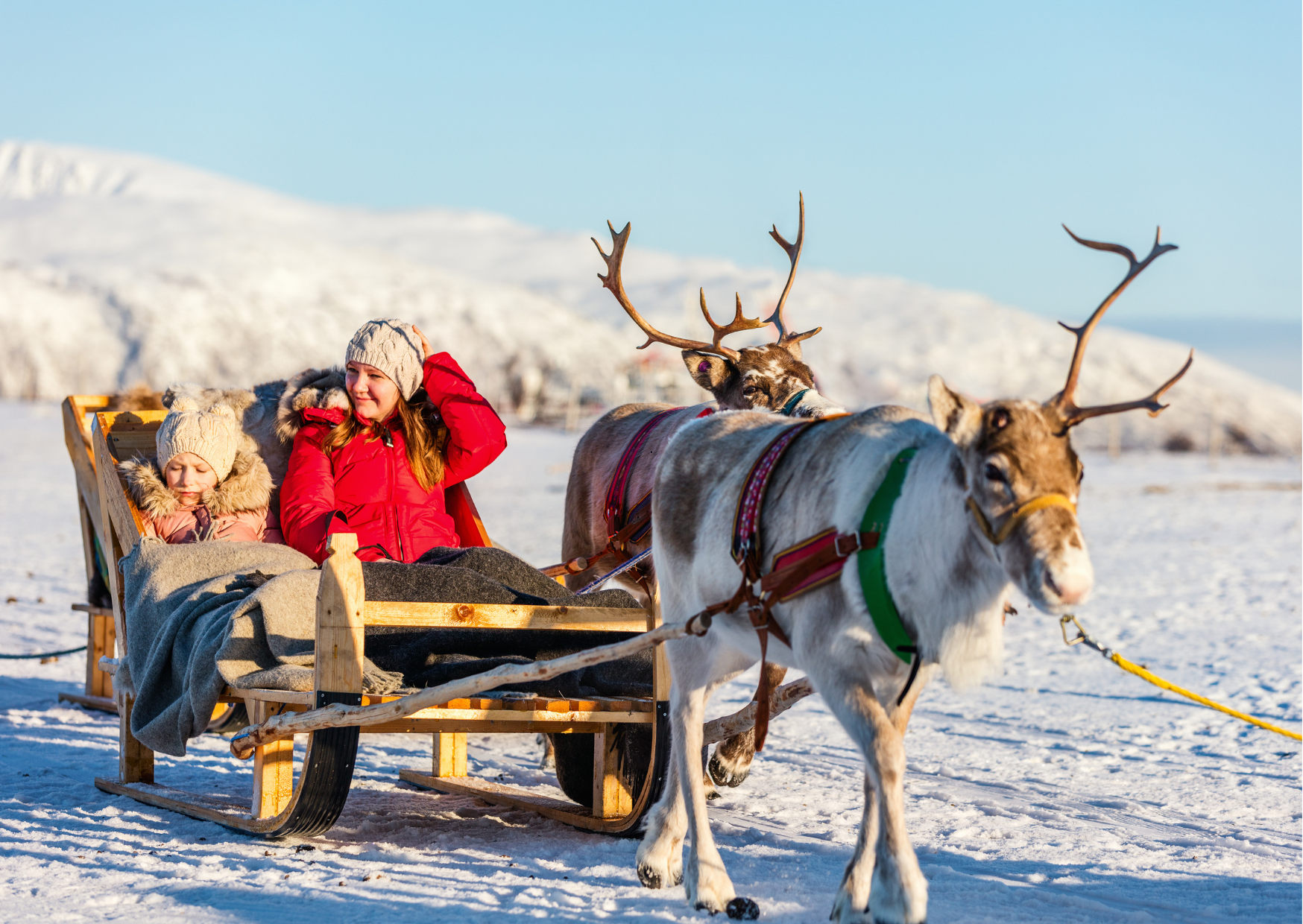 Rendiersledetocht in Lapland tijdens rondreis 5 dagen in Rovaniemi door sneeuw
