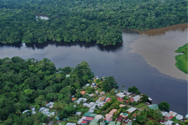 Tropisch regenwoud in Tortuguero National Park, omringd door jungle en water.