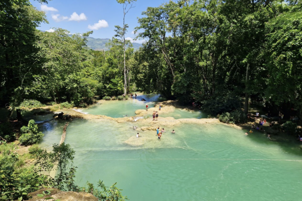 Tanzania_Leeuwen tijdens gamedrive