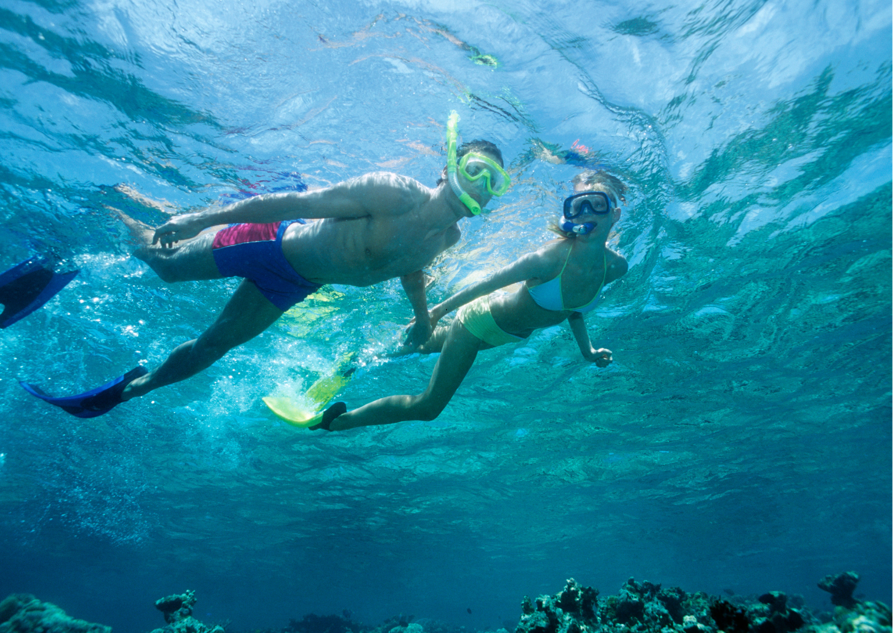 Snorkel en catamaran tour bij Tamarindo aan de Pacifische kust van Costa Rica.