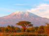 Moshi_Uitzicht op Kilimanjaro Tanzania