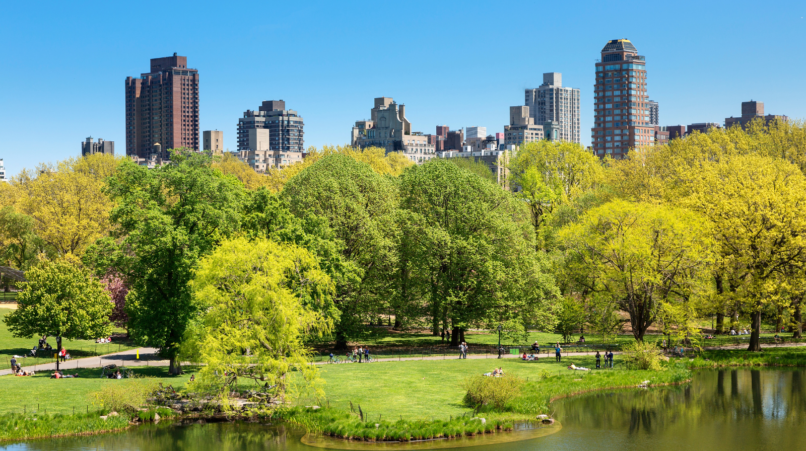 Central Park in New York met wandelpaden, groen en skyline op de achtergrond.