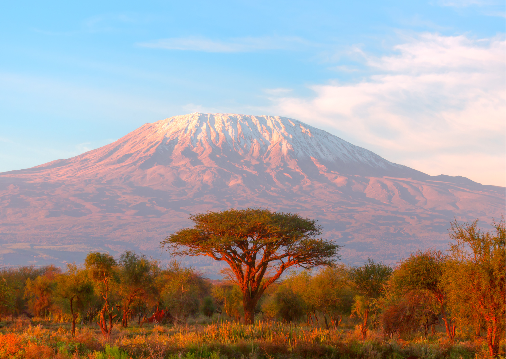 Moshi_Uitzicht op Kilimanjaro Tanzania