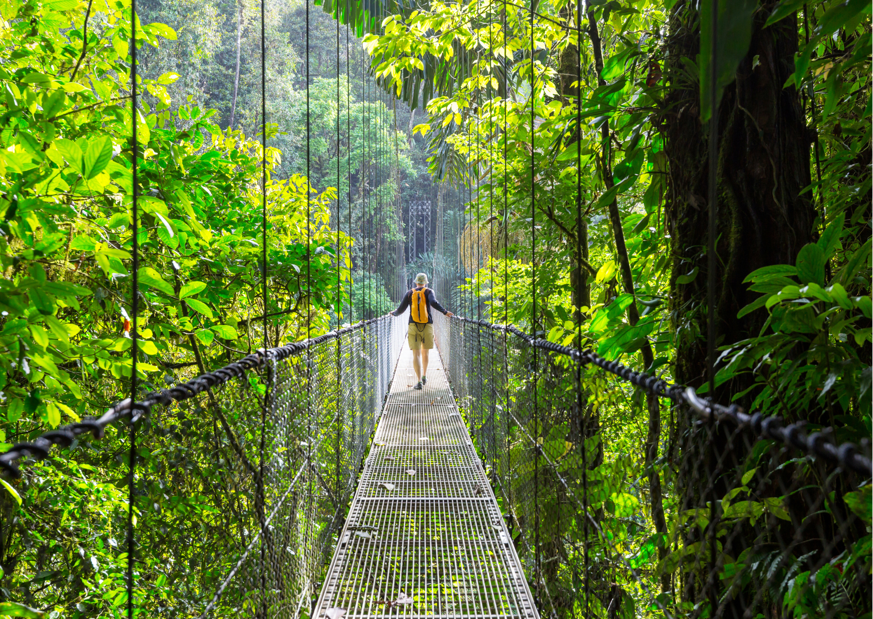 Hangbrug in het regenwoud bij Arenal tijdens een rondreis Costa Rica.