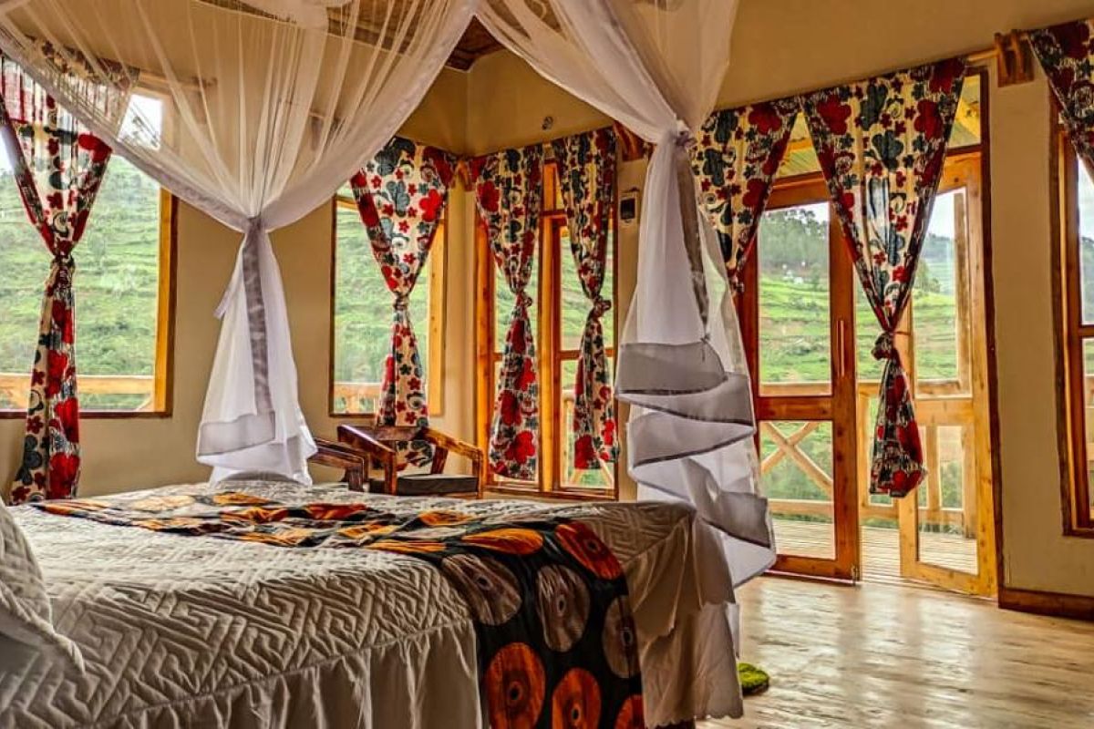 10-daagse Rondreis Oeganda, het Beste van de Natuur