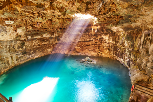 Buffelo met vogeltjes op rug_Zuid-Afrika