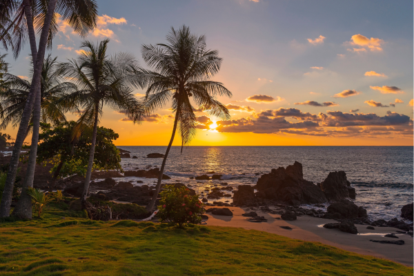 Palmbomen langs het strand van Tamarindo in Guanacaste.