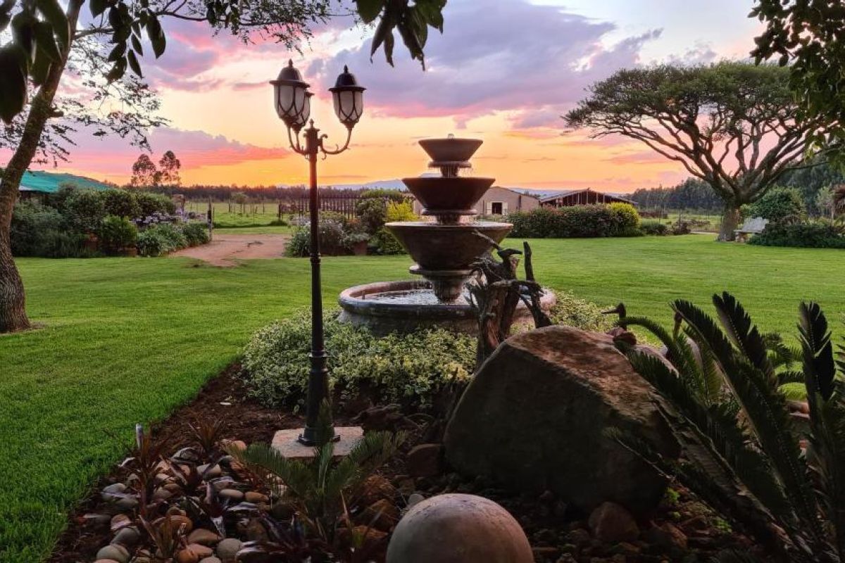 Landschap rondom Forest Hill Country Lodge in Piet Retief, Zuid-Afrika