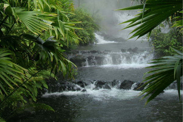 Natuurlijke warmwaterbronnen bij Arenal in La Fortuna, omringd door tropische natuur.