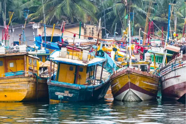 Kleurrijke vissersboten in een haven aan de zuidkust van Sri Lanka