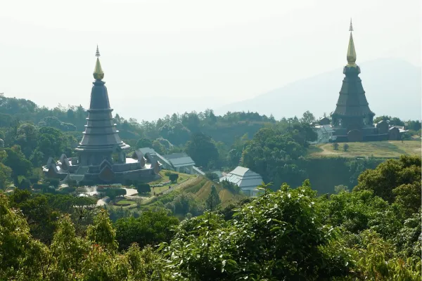 Jungle en natuur in Doi Inthanon National Park Thailand