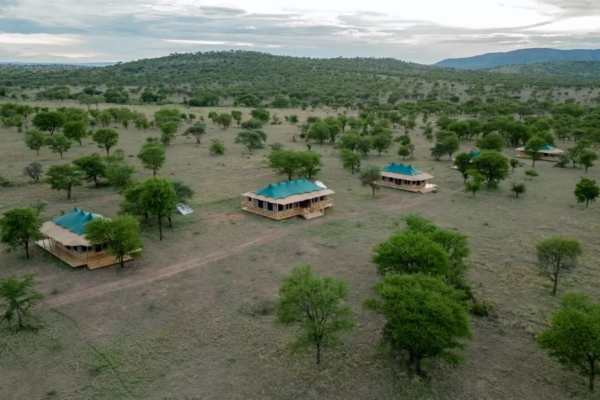 serengeti Signature Serengeti Africa