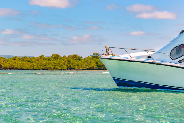 Snorkelen bij Kicker Rock op de Galápagoseilanden, met zicht op tropische vissen, schildpadden en roggen.