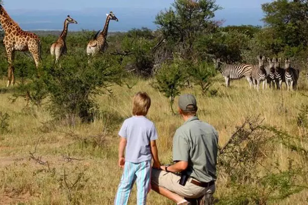 Wandel door Entabeni park - regio Waterberg - Zuid Afrika