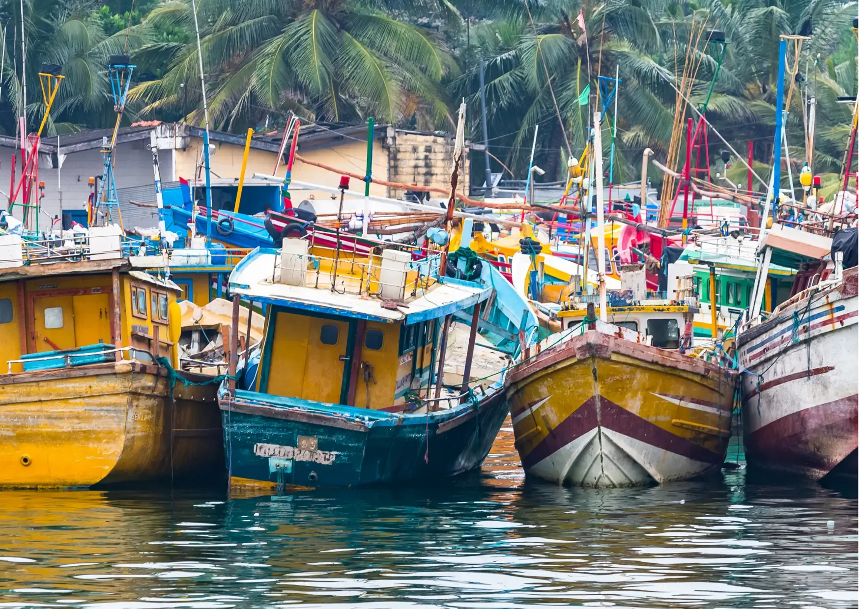 Kleurrijke vissersboten in een haven aan de zuidkust van Sri Lanka