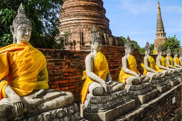 Beroemd Boeddhahoofd tussen boomwortels in Ayutthaya