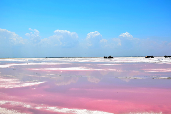 Rio Lagatoras - “Felroze water van Las Coloradas zoutmeren in Yucatán