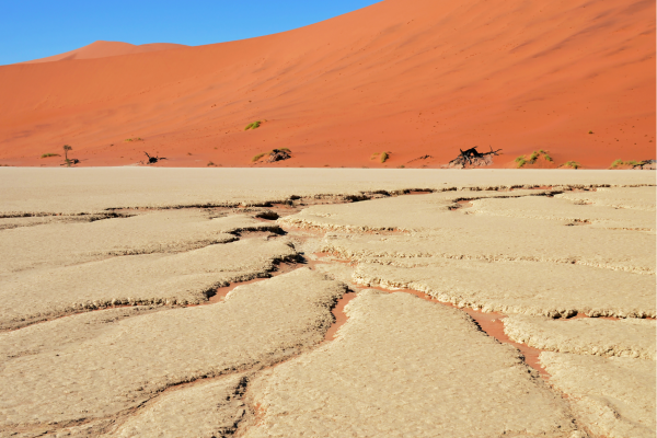 Deadvlei - “Zwarte bomen op witte kleivlakte in Deadvlei – iconisch Namibië beeld.”
