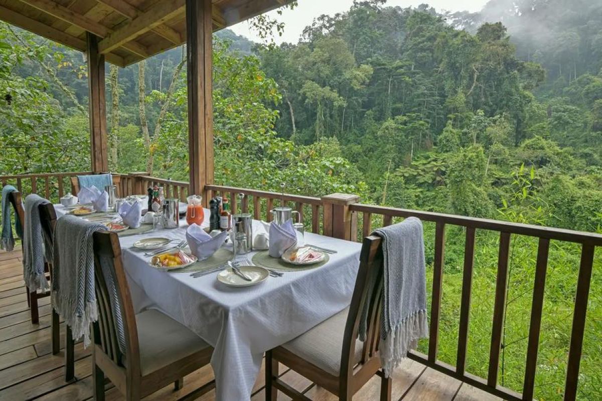 10-daagse Rondreis Oeganda, het Beste van de Natuur