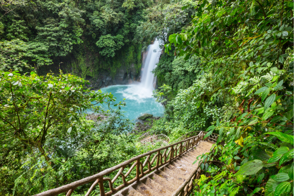 Rio Celeste waterval in Tenorio Volcano National Park tijdens een rondreis Costa Rica.