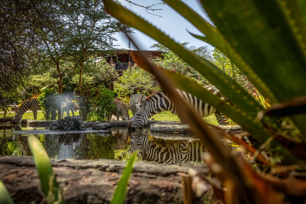 12-daagse Rondreis Kenia Experience, Masai Mara tot aan de kust