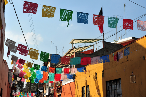 Ngorongoro Crater_Hyena op de weg