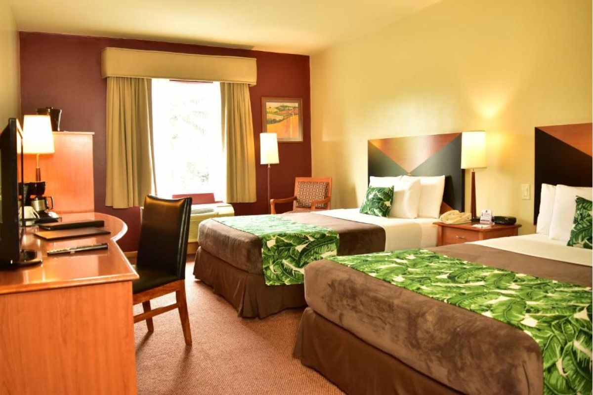 Costa Rica Compleet, van jungle tot oceaan