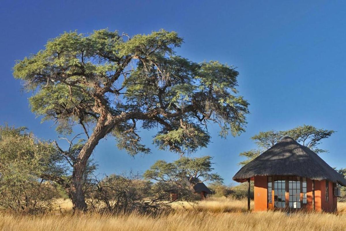 Camelthorn Kalahari Lodge