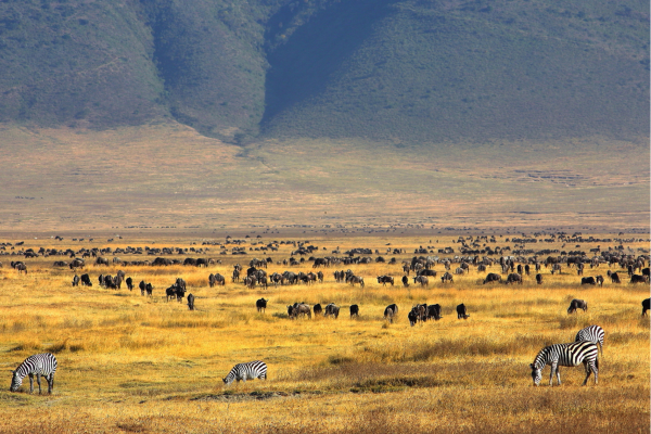 Ngorongoro krater_Tanzania