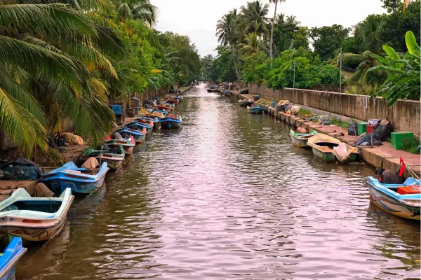 Dutch Canal met tropische begroeiing in Negombo, Sri Lanka