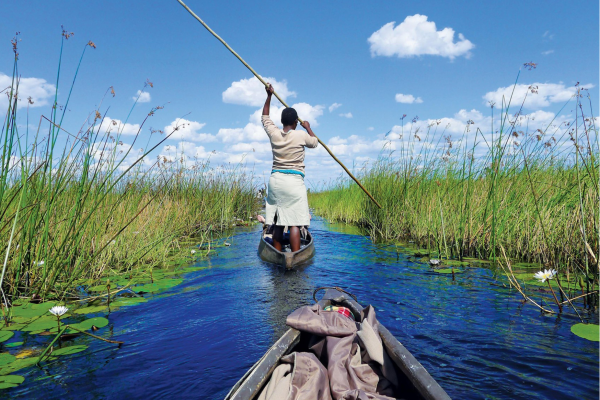 “Mokorotocht in de Okavango Delta vanuit Maun in Botswana, een traditionele kano-ervaring door het waterrijke deltalandschap.”