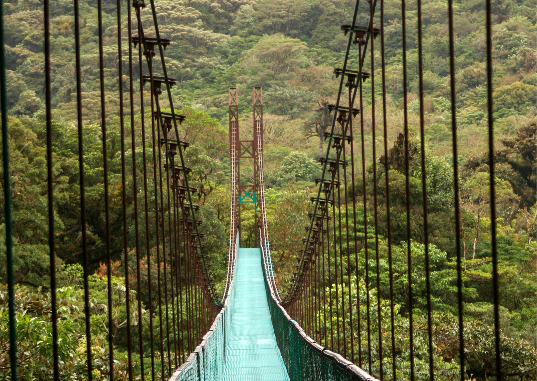 Wandelpad door het regenwoud van Tenorio Volcano National Park bij Rio Celeste.