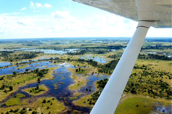 “Uitzicht vanuit een klein vliegtuigje over de Okavango Delta in Botswana, met kronkelende waterwegen en uitgestrekt deltalandschap.”
