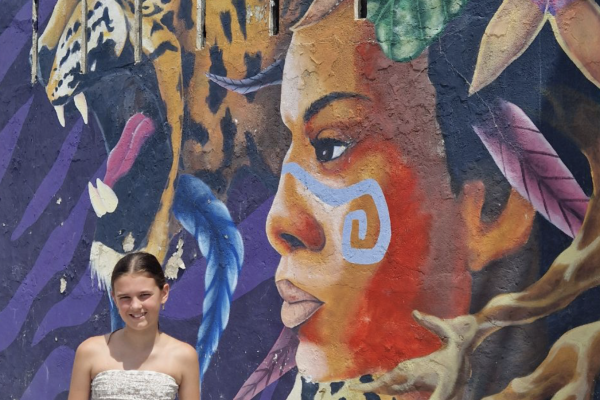 Campeche -“Stadsmuur en kleurrijke gevels in historische binnenstad van Campeche.”