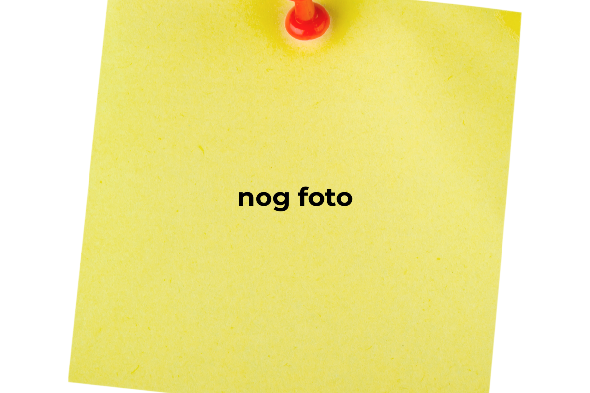 quivertree-forest-camping