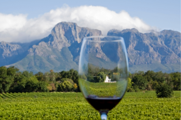 Zuid-Afrikaanse wijn en gastronomie – Kaapse Wijnlanden