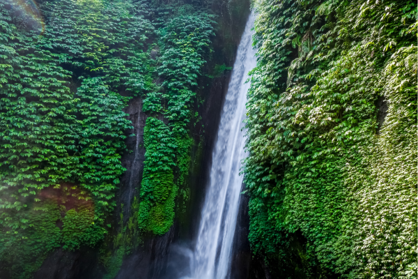 Red Coral Waterfall met rotswand en tropisch groen