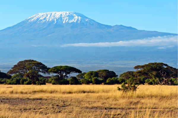 Amboseli National Park_Met Kilimanjaro op achtergrond