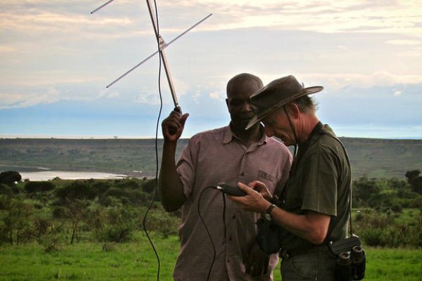 Onderzoekers-tijdens-Lion-Tracking-Experience-in-Queen-Elizabeth-National-Park-met-apparatuur-voor-het-opsporen-van-leeuwen