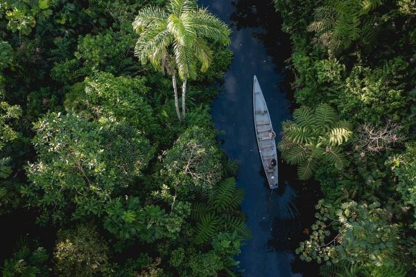 Boottocht over de Cuyabeno-rivier richting Laguna Grande, diep in het Amazonegebied van Ecuador.