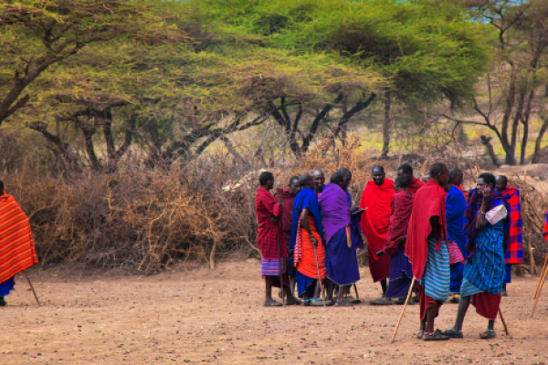 “Bezoek aan een authentiek Maasai-dorp in Tanzania, met traditionele kleding, dans en kennismaking met de lokale leefwijze.”